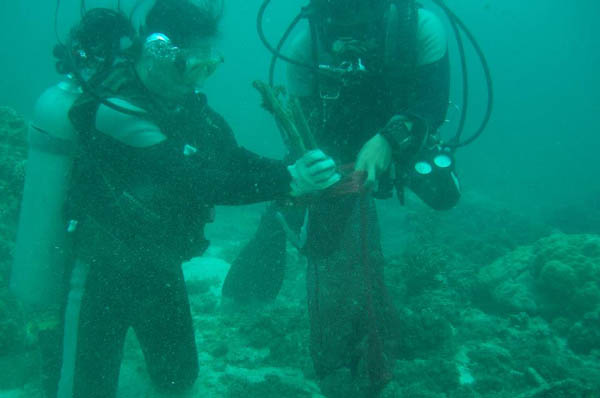 Clean-up participants in action underwater